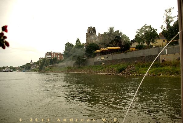 Blick von der Terrase auf den Rhein.