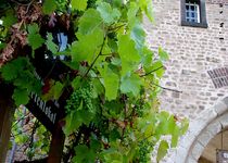 Bild zu Weinhaus im Bonner Tor