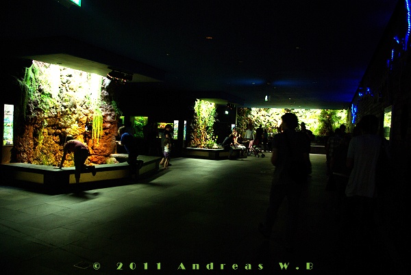 Das Aquarium, es ist dunkel und auch feucht/warm hier.