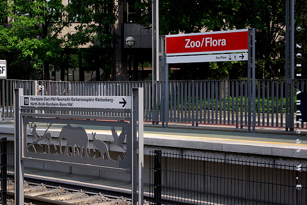 Die Haltestelle der Straßenbahn direkt am Zoo und der Flora. Von hier aus ist man in 2 Minuten an der Kasse.