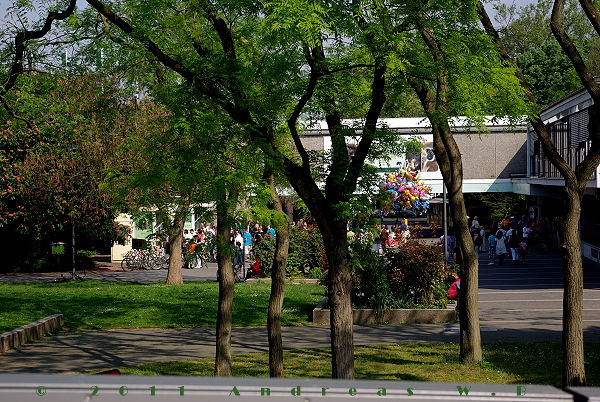 Der Platz vor dem Eingang von der Haltestelle der Staßenbahn aus gesehen. Im Vergleich zu anderen Zoos ist der Eingang sehr schlicht gehalten.