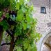 Weinhaus im Bonner Tor in Lechenich Stadt Erftstadt