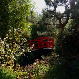 Asiatischer Garten der heiteren Stille beim Therapiezentrum Münzesheim in Kraichtal