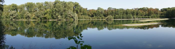 Naturschutzgebiet Erlachsee