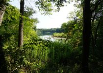 Bild zu Naturschutzgebiet Erlachsee