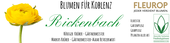 Nutzerbilder Blumen Rickenbach e.K.