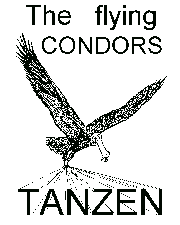 Logo von The flying Condors GbR in Stockach