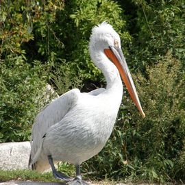 Allwetterzoo in Münster