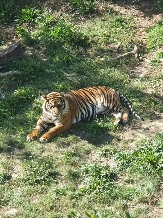 Nutzerbilder Zoo Osnabrück gGmbH