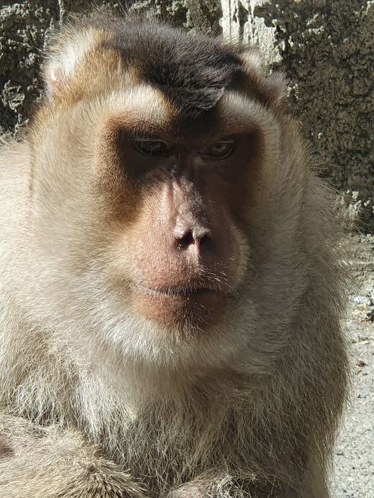 Nutzerbilder Zoo Osnabrück gGmbH