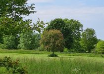 Bild zu Schloss Vornholz