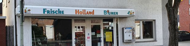 Bild zu Frische Holland Blumen Oudhuis