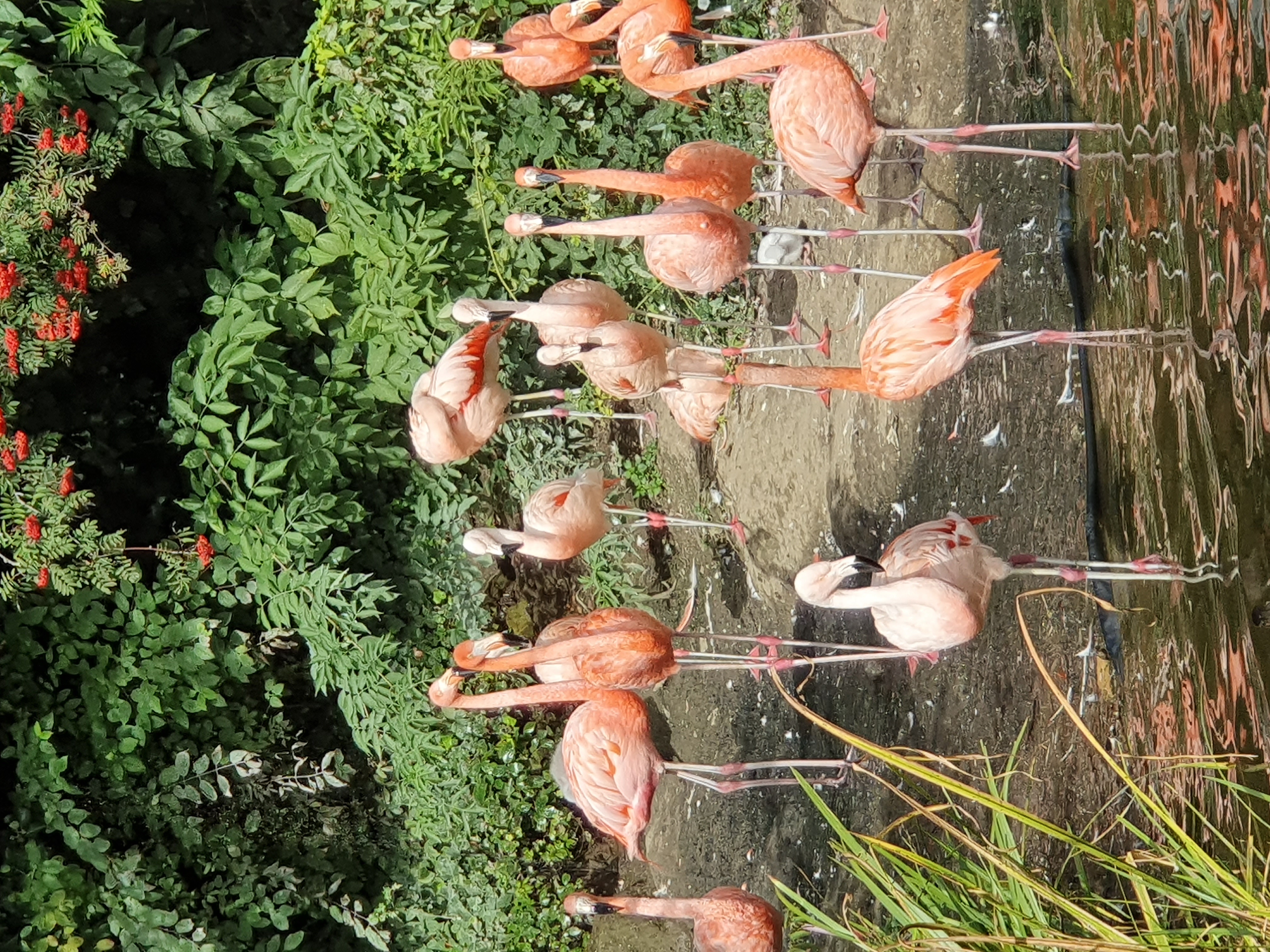 Zoo
Osnabrück