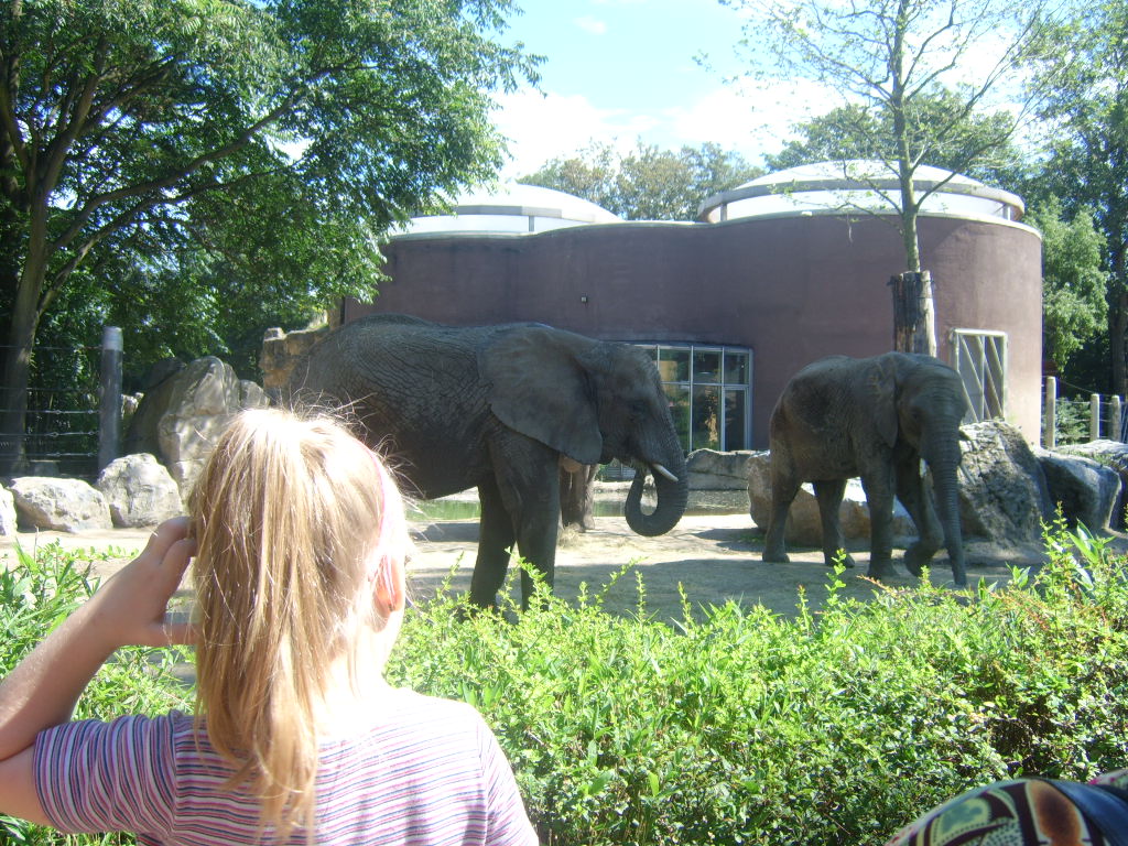 Meine Tochter bestaunt die Elefanten