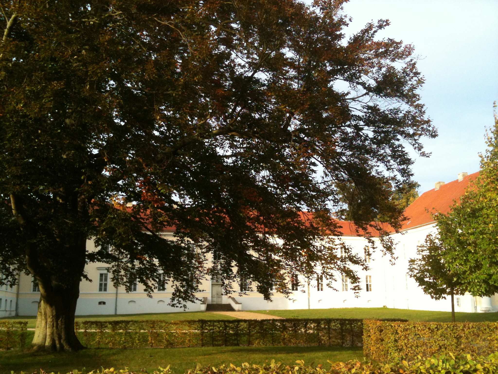 Kavalierhaus Schloss Rheinsberg, Haus der Landesmusikademie Brandenburg