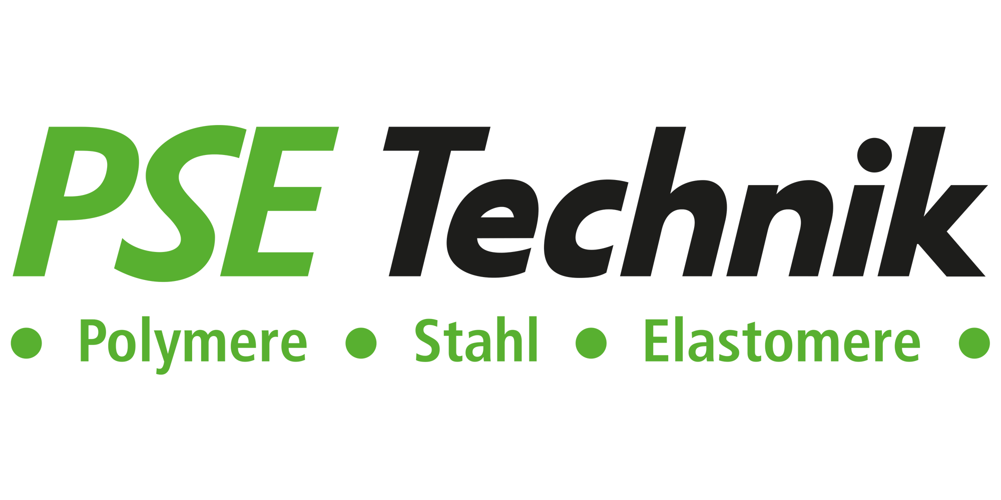 Logo - PSE Technik GmbH &amp; Co. KG
