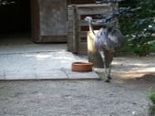 Nutzerbilder Tierpark Gera Waldzoo