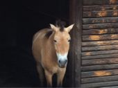 Nutzerbilder Tierpark Gera Waldzoo