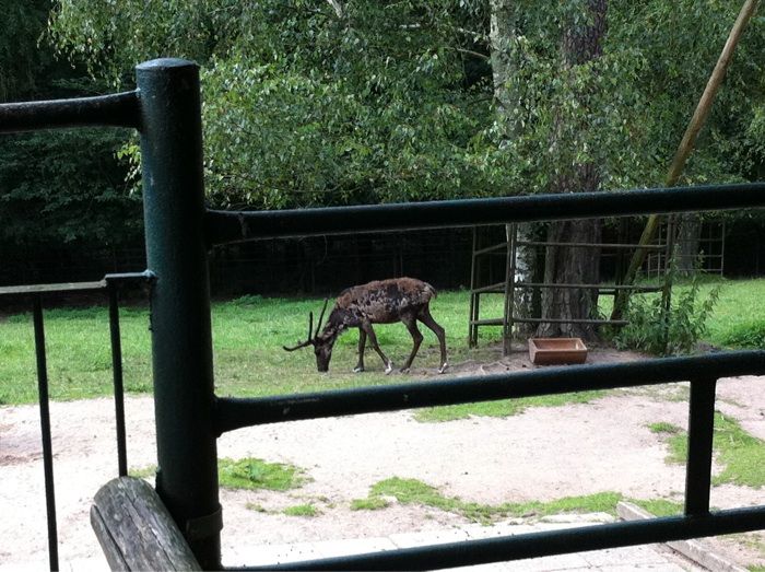 Nutzerbilder Tierpark Gera Waldzoo