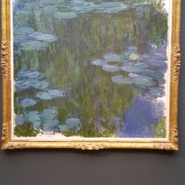 Seerosen Monet