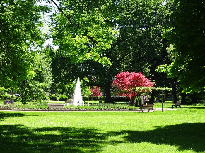 Bad Westernkotten Kurpark