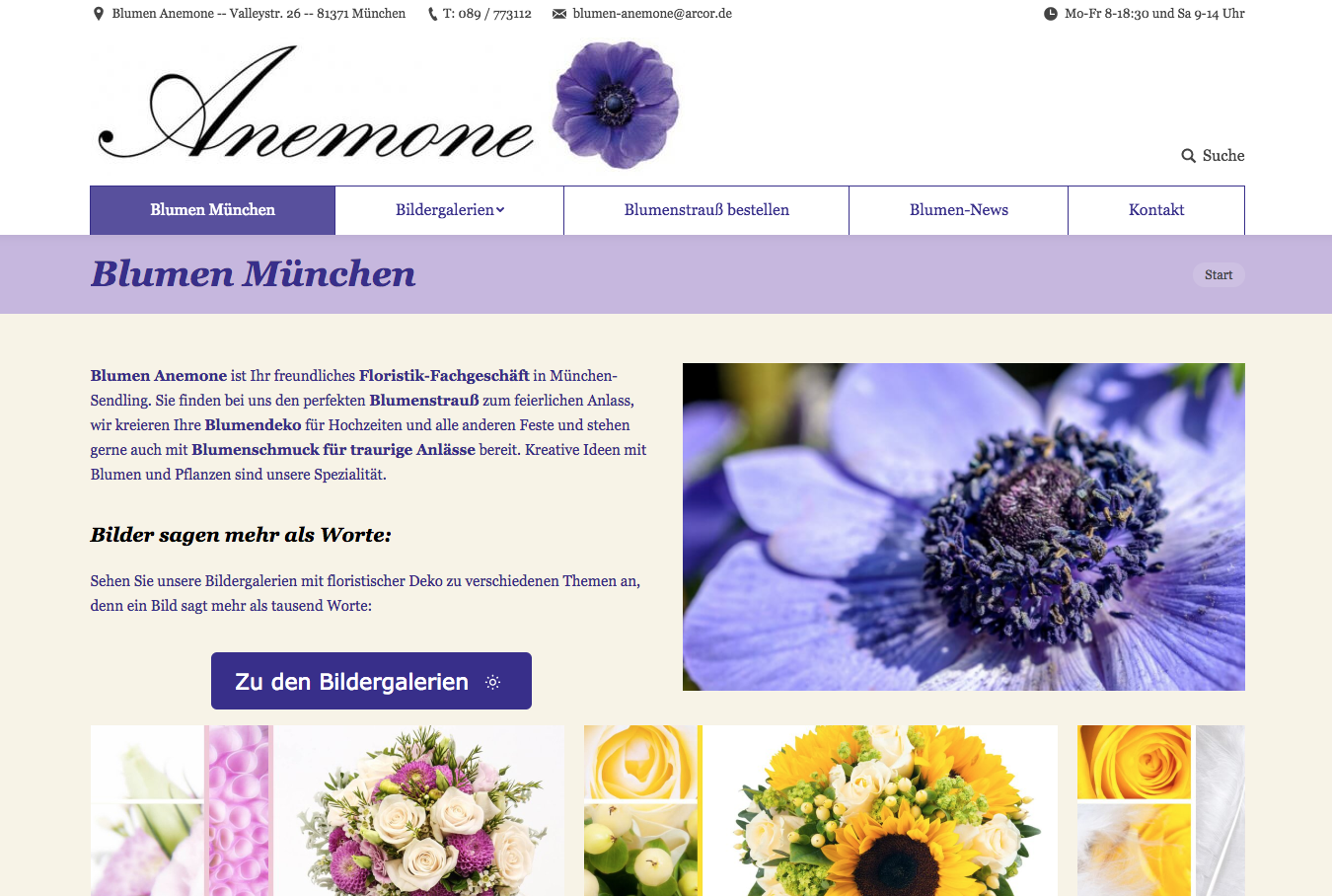 Blumen Anemone Webseite