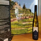 Weingut Drei Herren in Radebeul