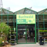 Buchwald grün erleben Pflanzencenter Gartenmarkt in Krummsee Gemeinde Malente