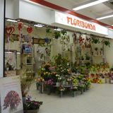Floribunda GmbH in Hohenstein-Ernstthal