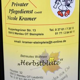 Kramer Nicole Privater Pflegedienst in Werdau in Sachsen