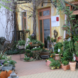 in blüte - Der Blumenladen im Kunsthof Dresden