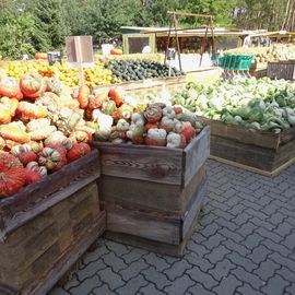 Buschmann & Winkelmann GmbH in Beelitz in der Mark