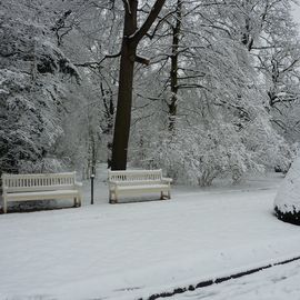 Winter im Großen Garten , März 2016