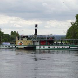 Dampfer "Pirna" beim Wendemanöver in Pillnitz