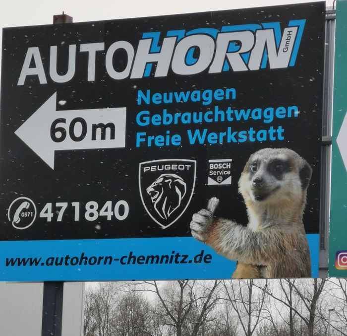 Auto-Horn GmbH Peugeot und Bosch Dienst