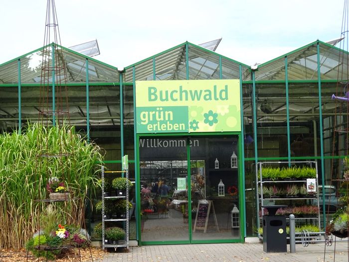 Buchwald grün erleben Pflanzencenter Gartenmarkt