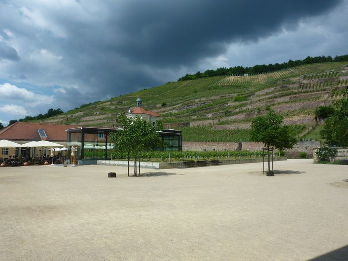 Nutzerbilder Sächsisches Staatsweingut GmbH Schloss Wackerbarth