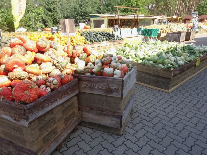 Nutzerbilder Buschmann & Winkelmann Spargelhof Klaistow Erlebnisgastronomie