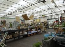 Bild zu Buchwald grün erleben Pflanzencenter Gartenmarkt