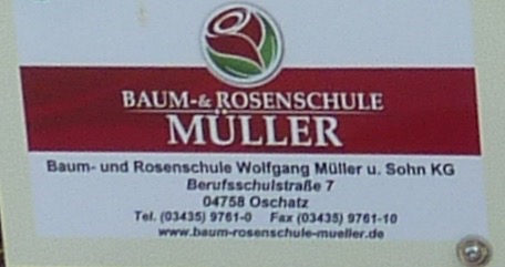 Bild 2 Müller Garten- & Landschaftsbau Pflanzenhandels GmbH in Oschatz