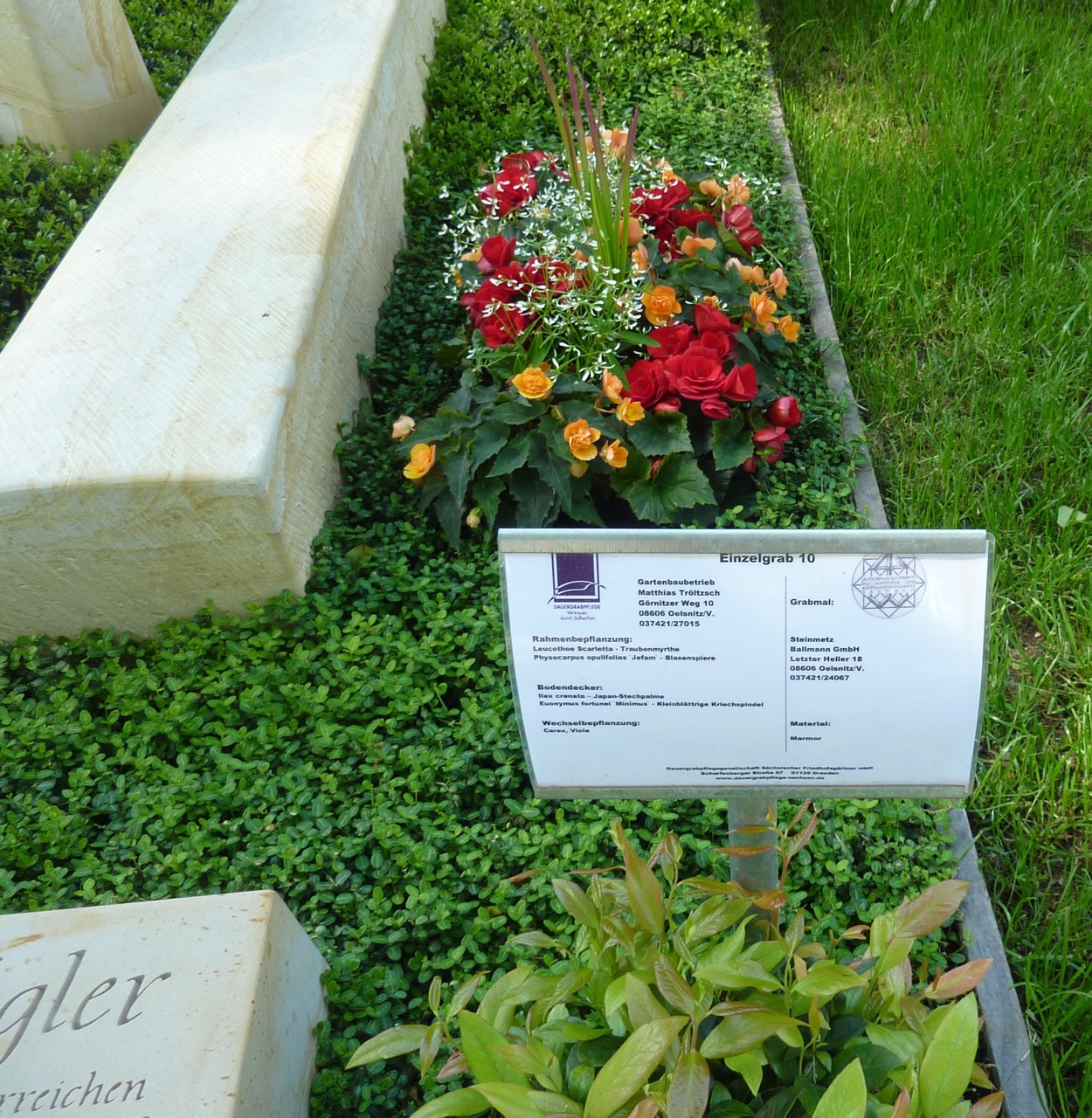 Grabbepflanzung als Ausstellungsstück zur Gartenschau in Oelsnitz