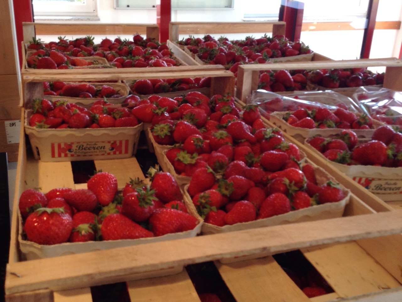 Frische Erdbeeren von Obstbauer Kury