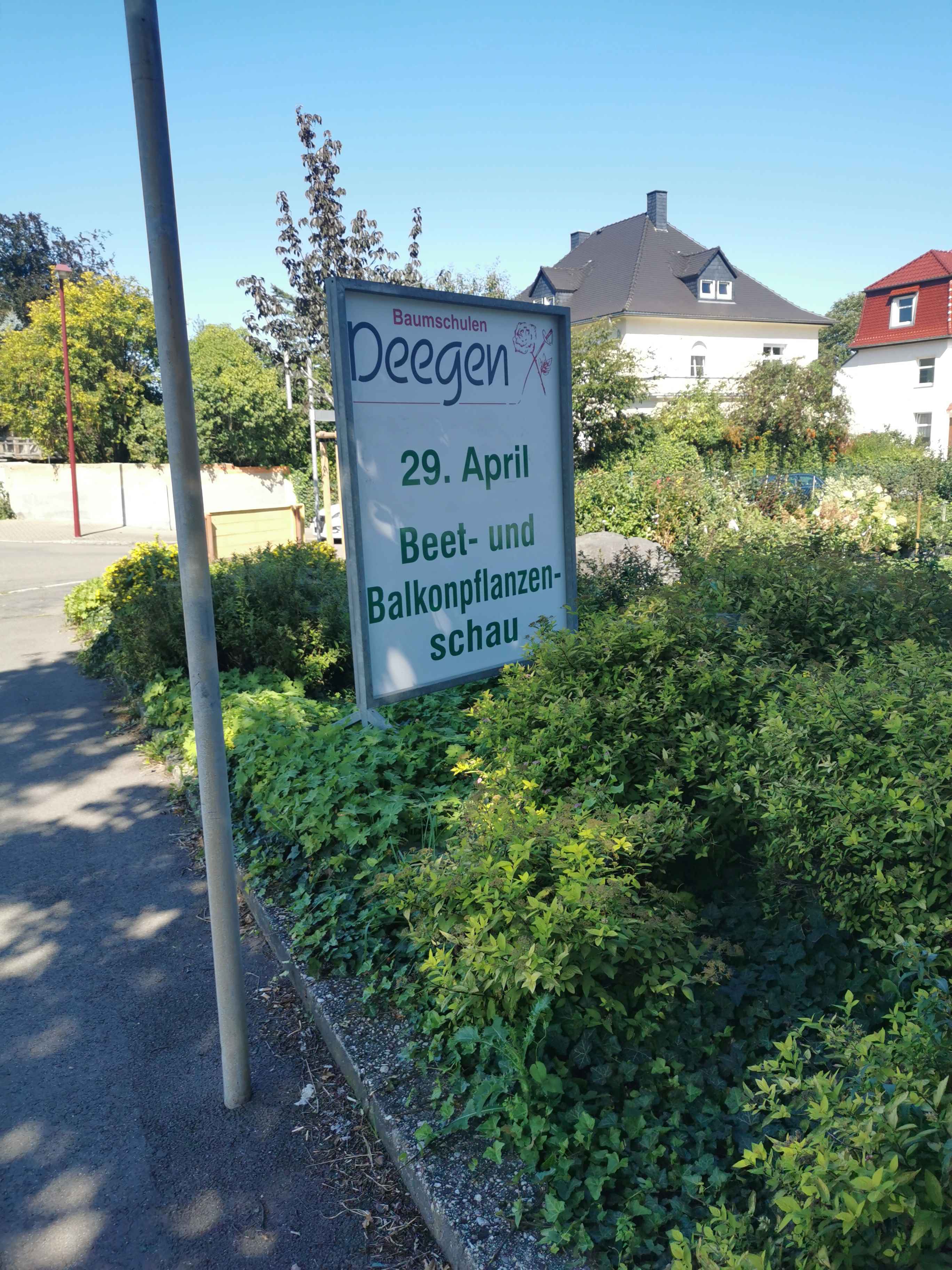 Bild 3 Baumschule Deegen in Bad Köstritz