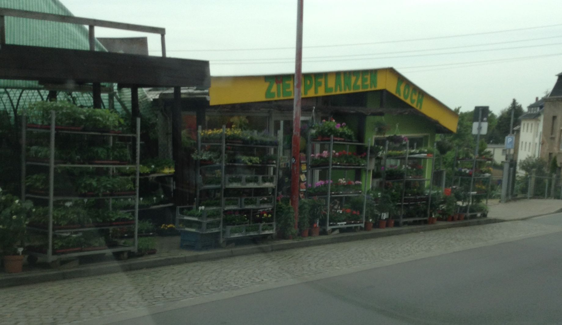 Blumengeschäft Koch in Hohenstein-Ernstthal
