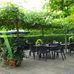 Buchwald grün erleben Pflanzencenter Gartenmarkt in Krummsee Gemeinde Malente