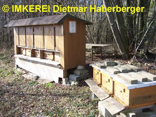 Die Bienen im Frühjahr; Imkerei Dietmar Haberberger
