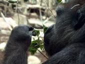 Nutzerbilder Münchener Tierpark Hellabrunn