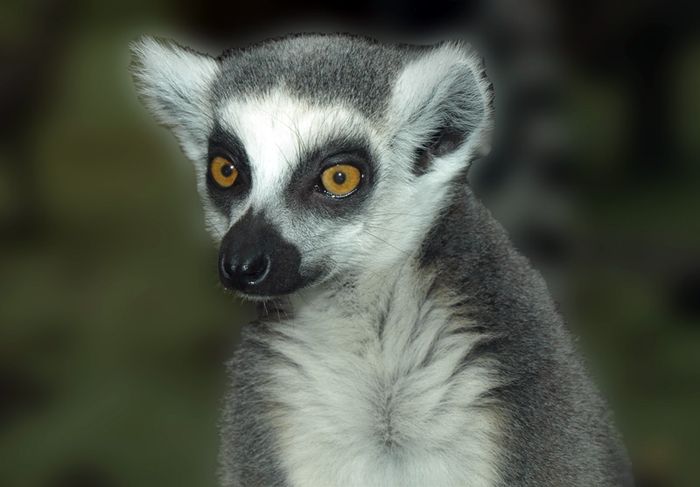 Nutzerbilder Münchener Tierpark Hellabrunn