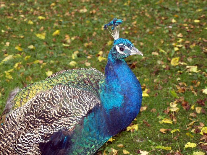 Nutzerbilder Münchener Tierpark Hellabrunn