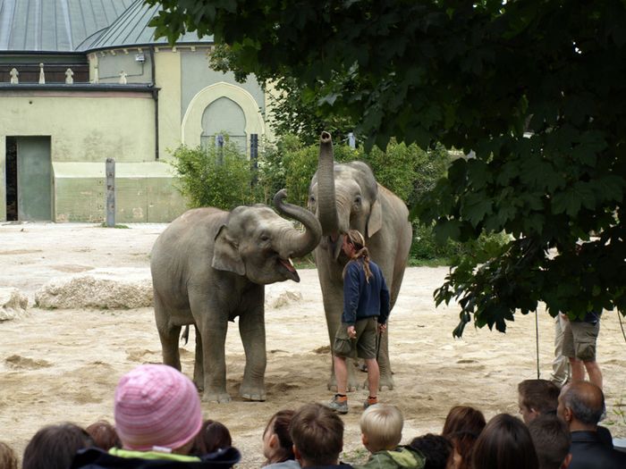 Nutzerbilder Münchener Tierpark Hellabrunn